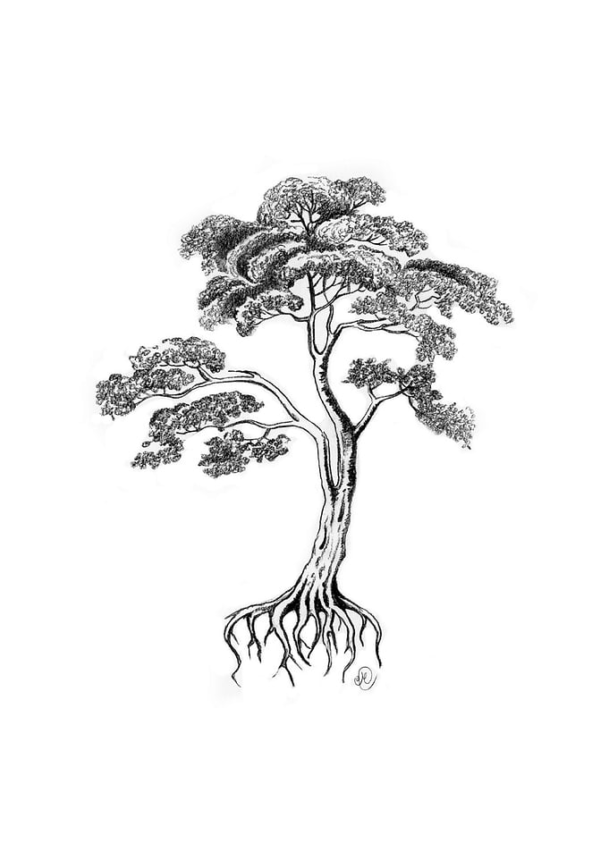 Living Tree