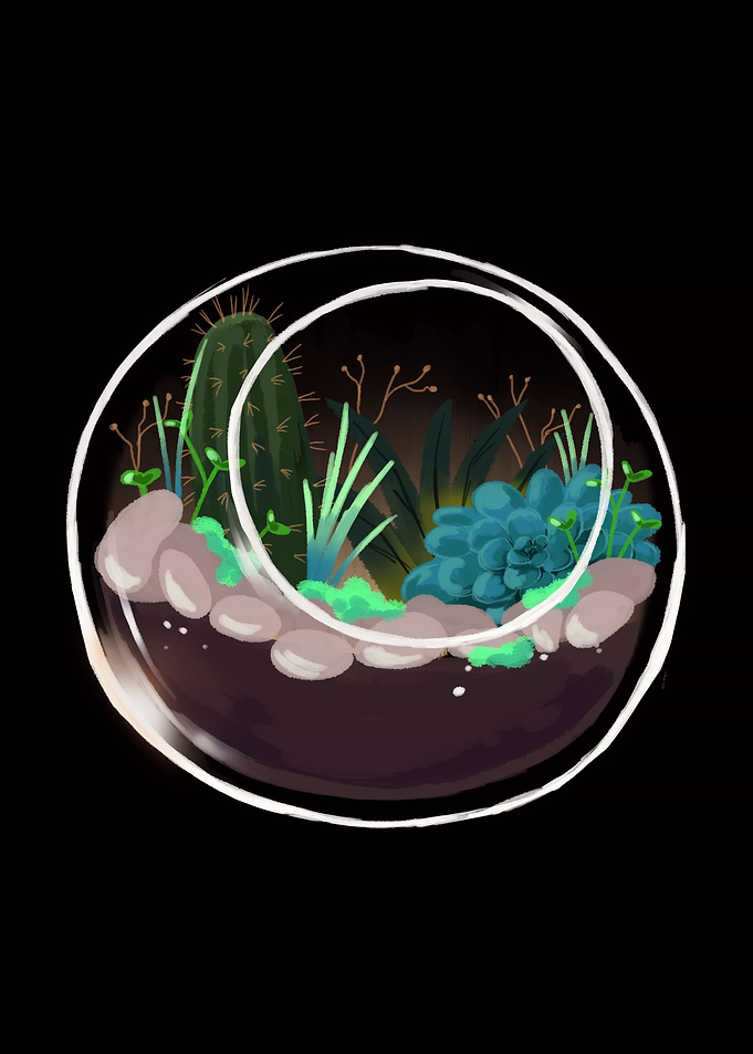 Round Succulent Terrarium