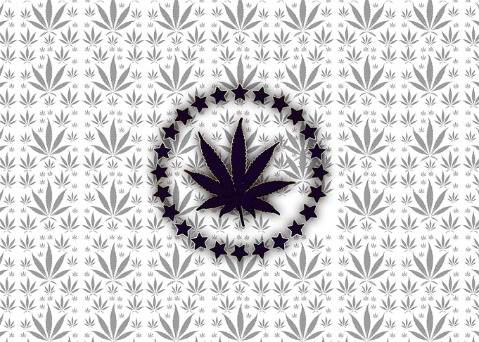 White Weed Stamp Crew Net
