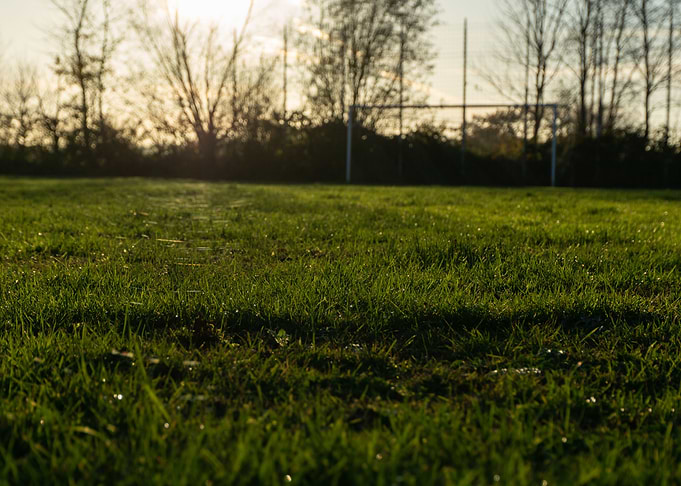 Soccer field