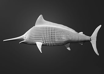 Swordfish Wire Trophy