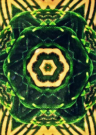 Artistic Nature Atomic