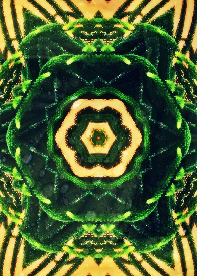 Artistic Nature Atomic