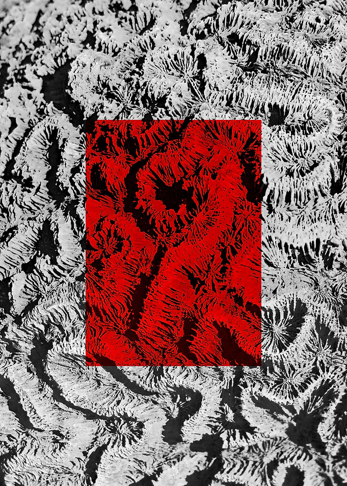 Red Macros of Nedunteevu