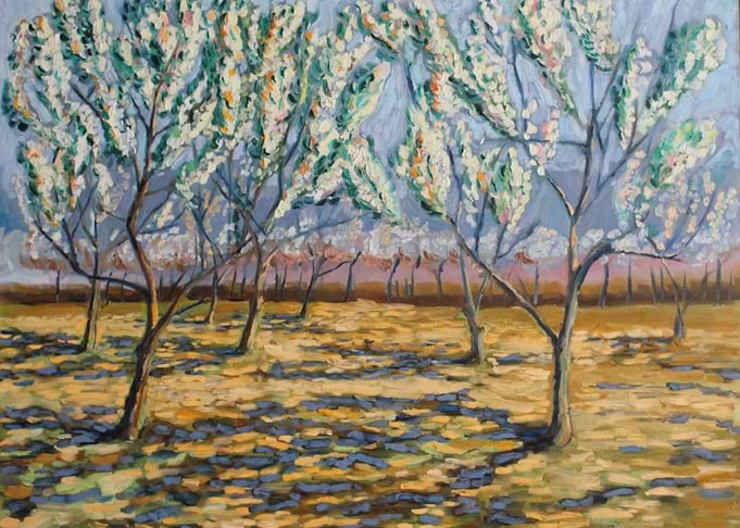 blossom of apple trees