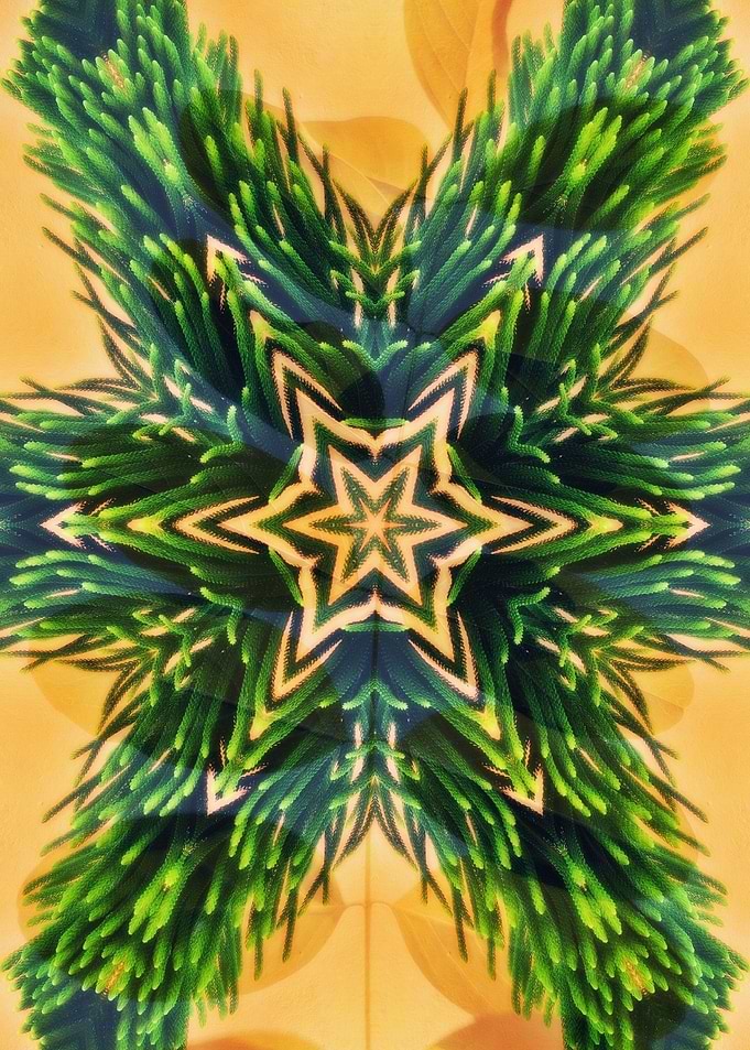 Artistic Nature Hexane