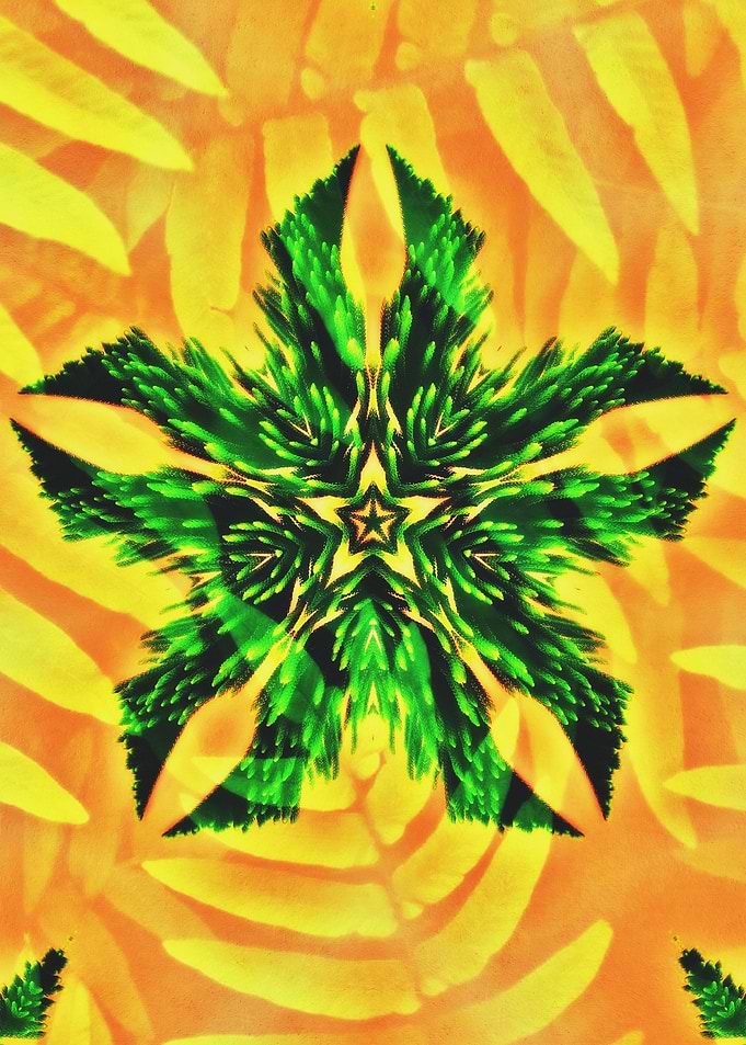 Artistic Nature Pentagon