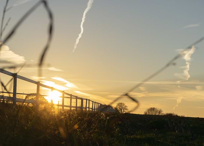 Fence