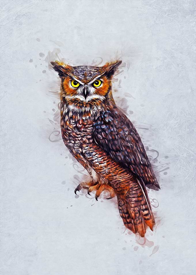Wise Owl