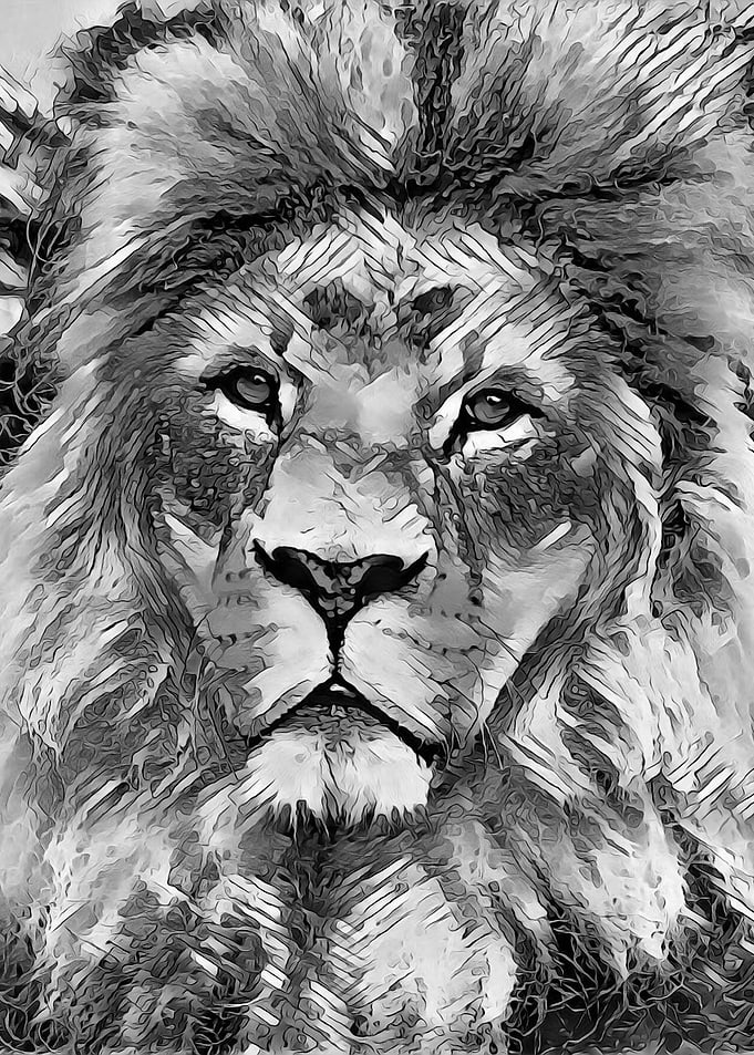 AnimalArtBW Lion 001