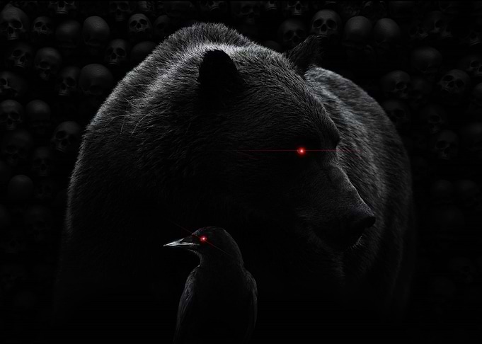 A bear and a crow