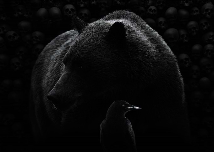 black bear and crow