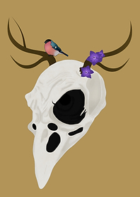 Bird skull