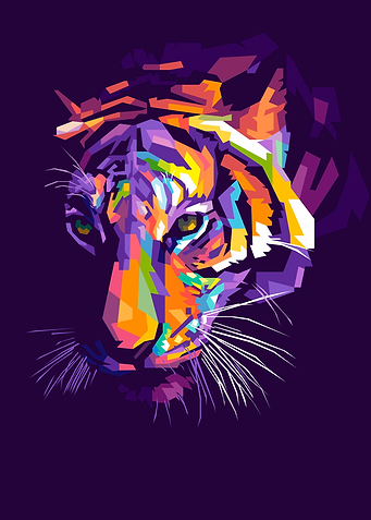 Tiger Face Close Up