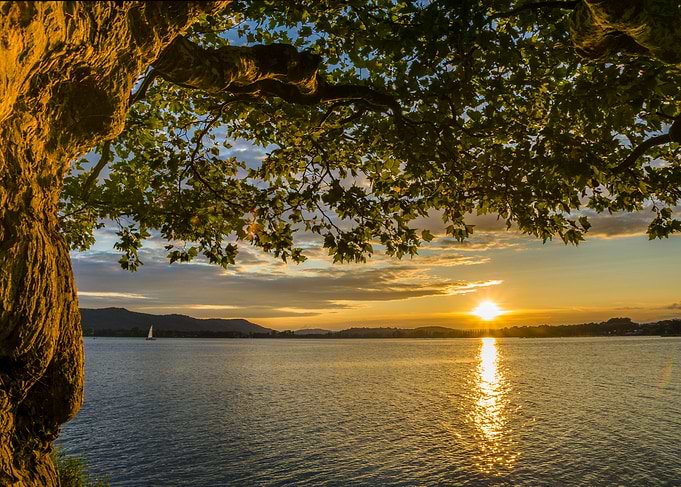 autumn sun