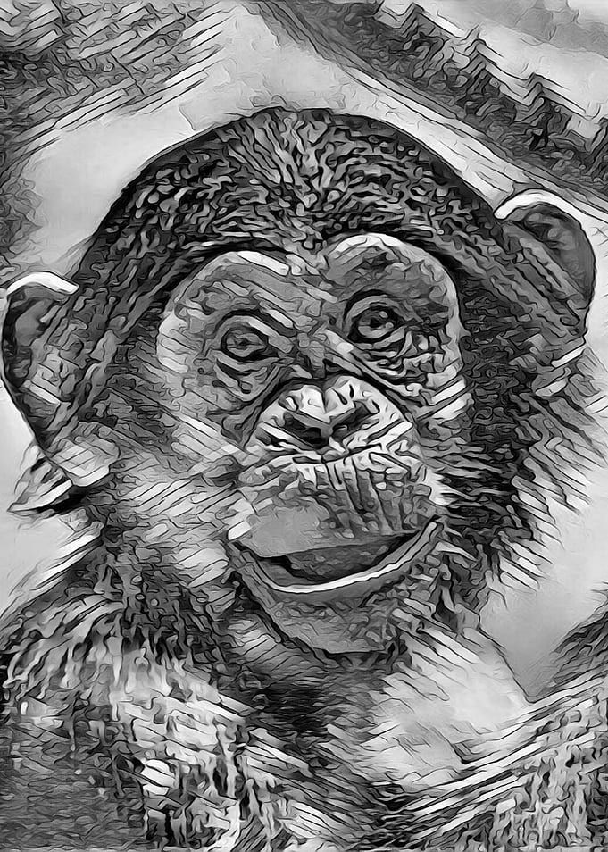 AnimalArtBW Chimpanzee 001