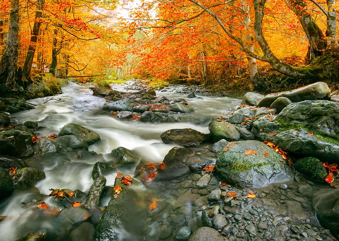 The Rusty River