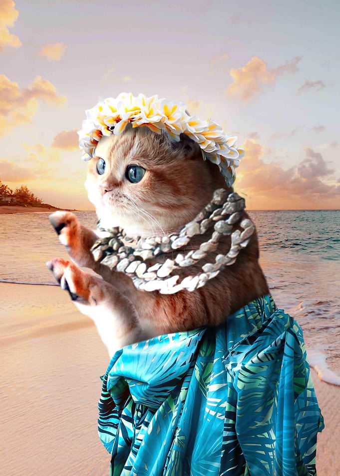 Funny Aloha Hawaiian Cat