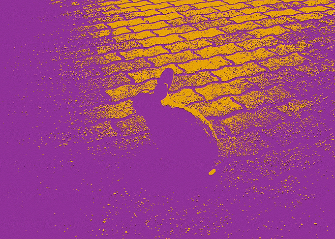 Rabbit sitting