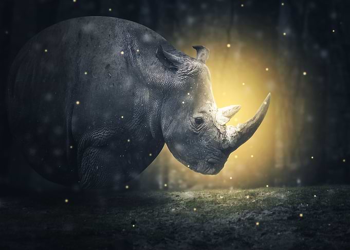 Glow Rhino