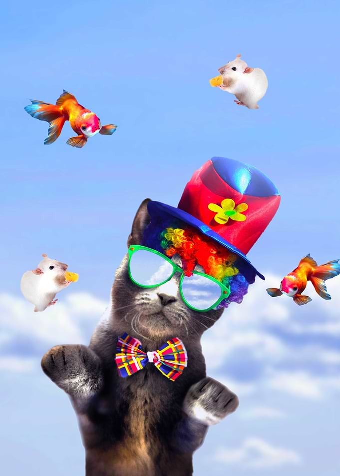 Juggling Clown Cat