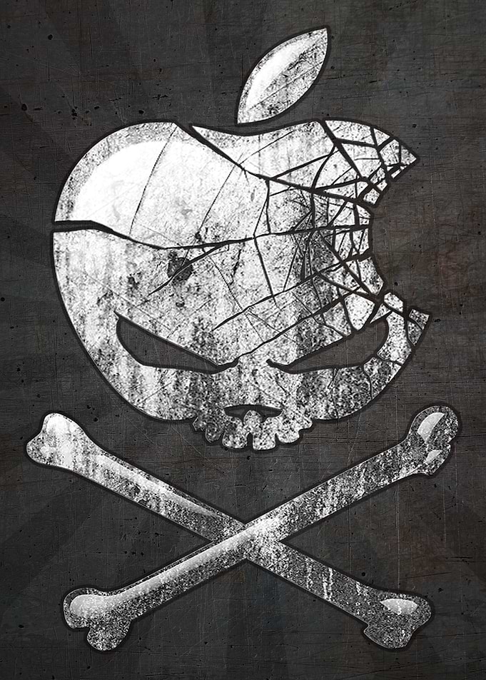 Pirate Hacker