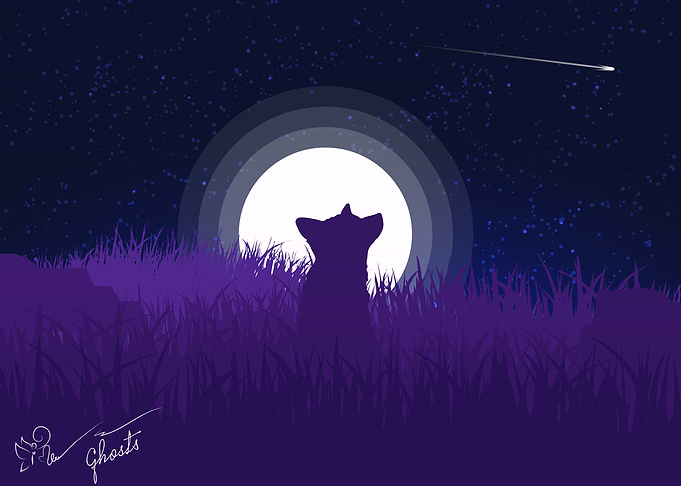 Wishing Fox