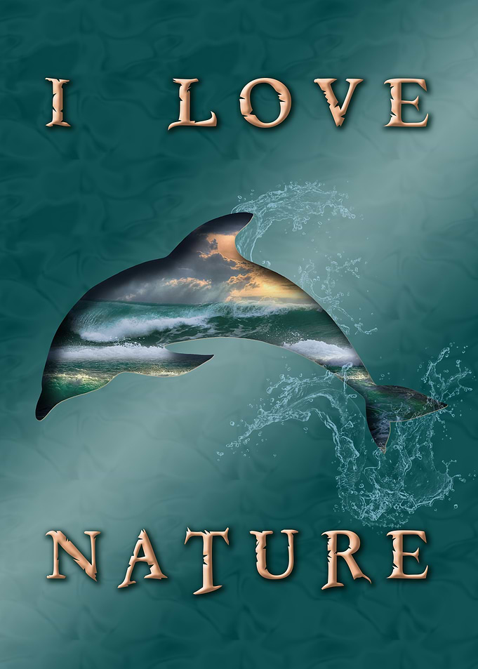 dolphin sx