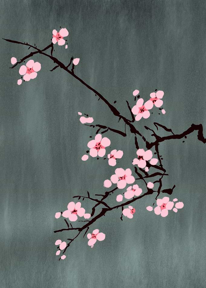Cherry Blossom 02