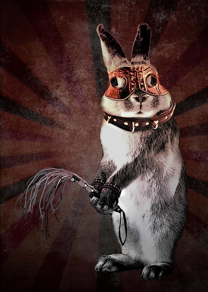 50 shades of the Rabbit