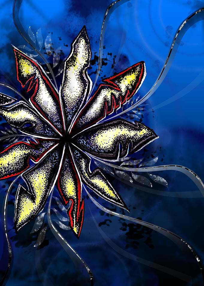 Broken Petals