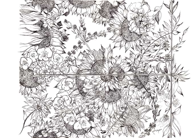 Sunflowers Tournesols