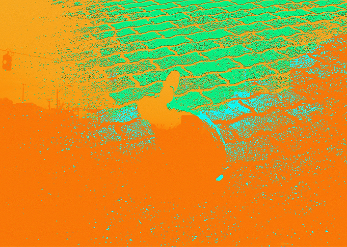 Rabbit sitting II