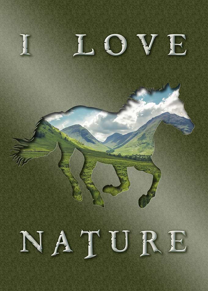 wild horse dx