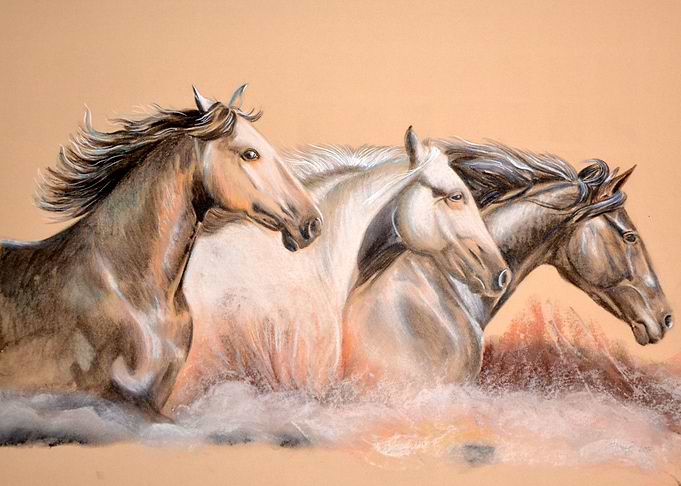 Camargue ride