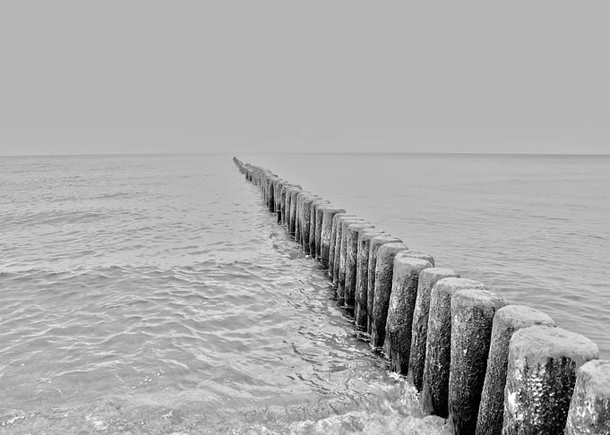 Into the Sea
