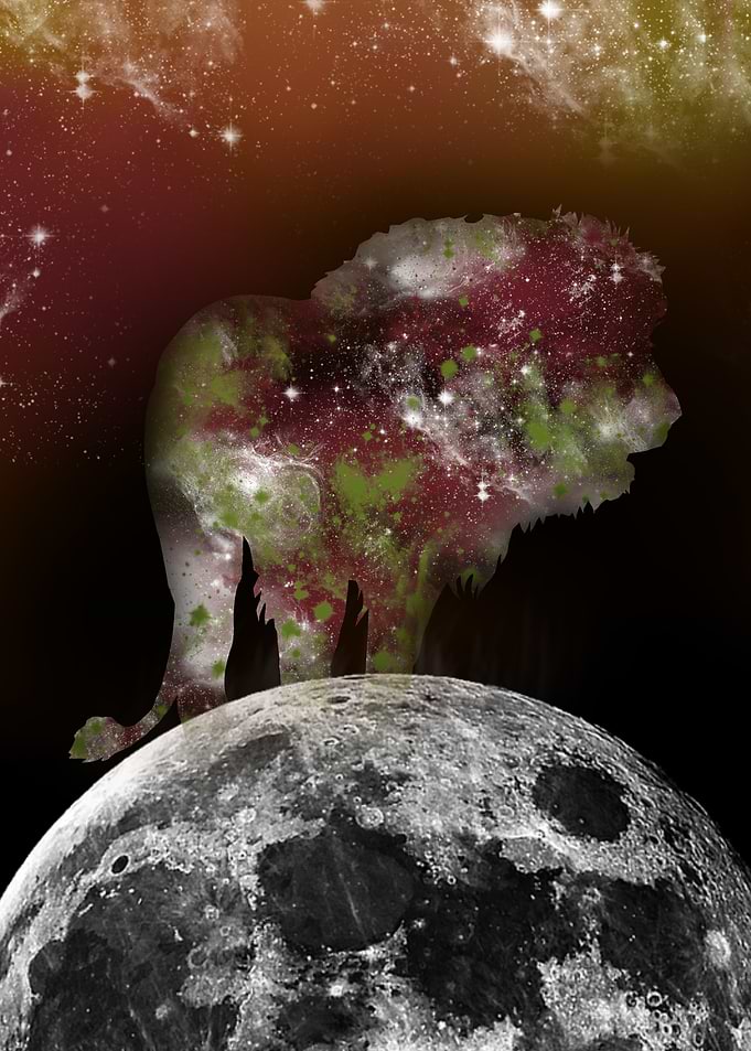 Lion in The sky