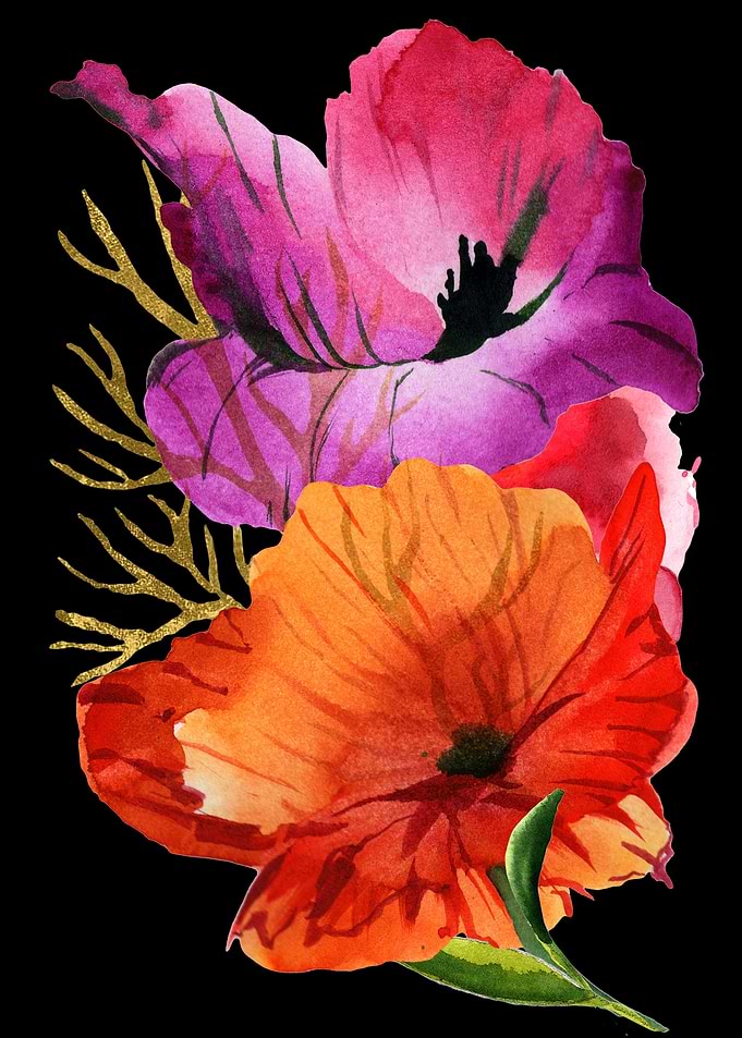 Power Flowers Poppy Style