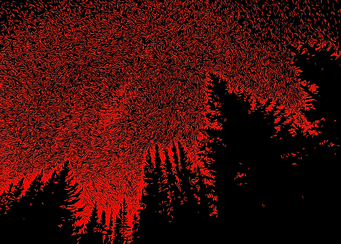 Forrest of Death