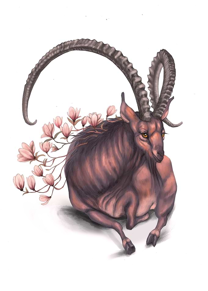 Under the magnolia