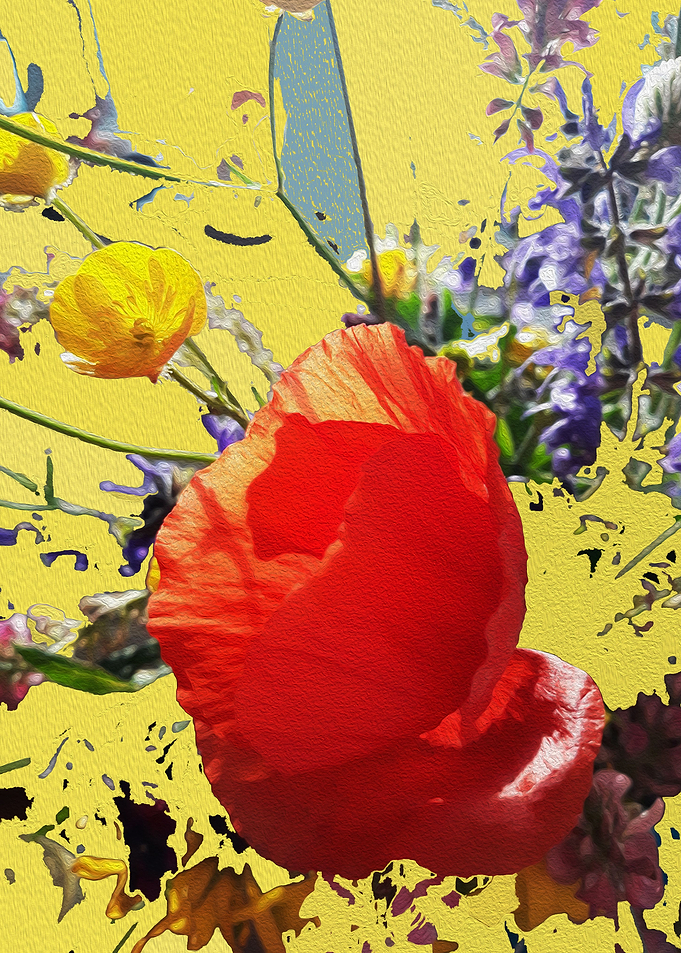 Bouquet with poppy