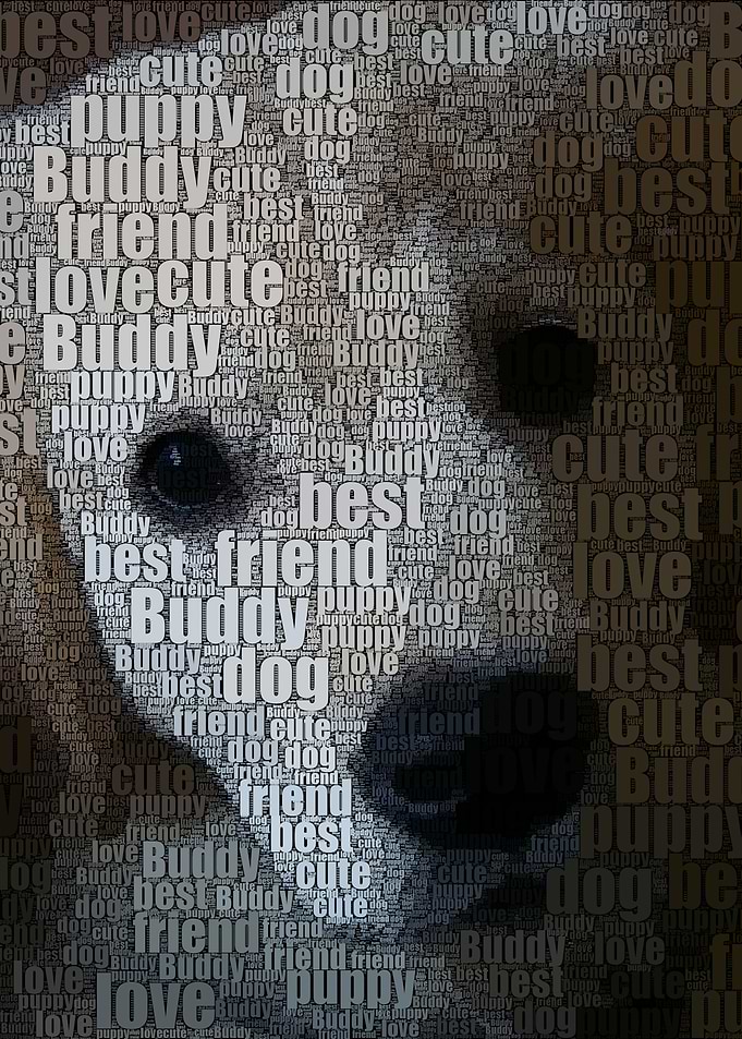 Puppy