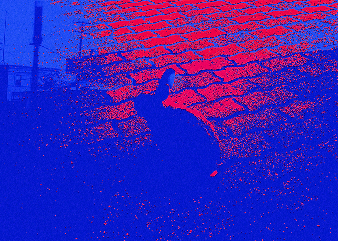 Rabbit sitting III