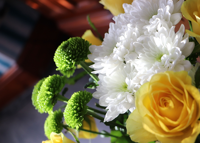 variety of bright Flowers
