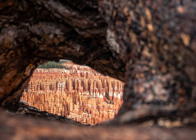 Bryce Canyon Hoodos