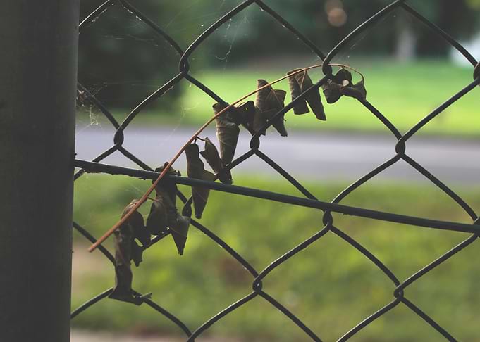 Fence