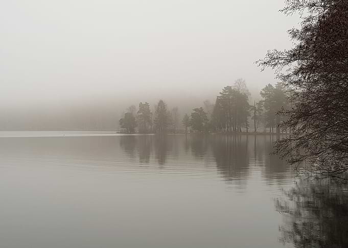 Fog