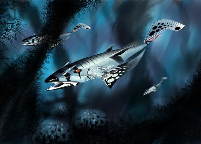Monsterfish