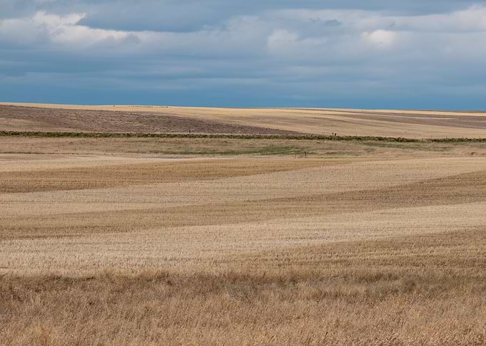 Sweeping Farmland