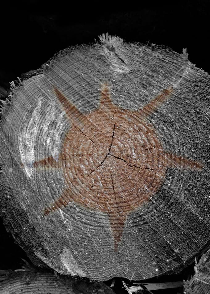 Wooden Sun